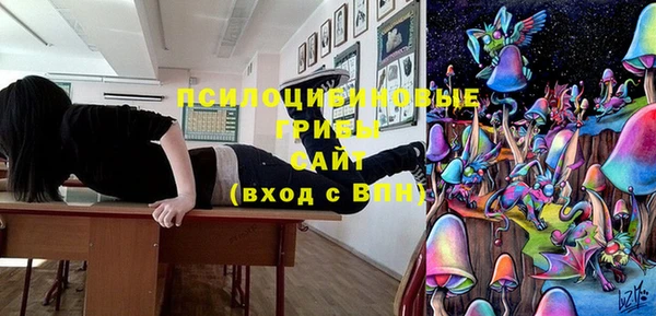 стафф Алексеевка