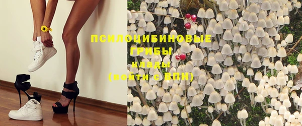 стафф Алексеевка