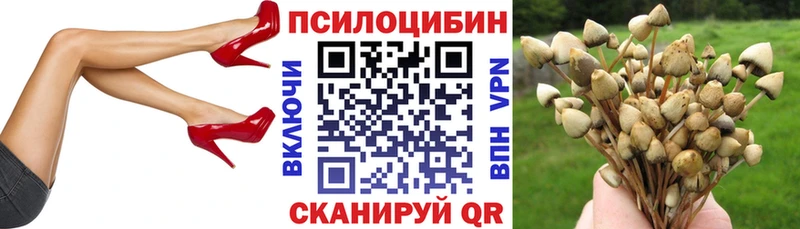 даркнет сайт  Гаврилов Посад  Псилоцибиновые грибы прущие грибы 